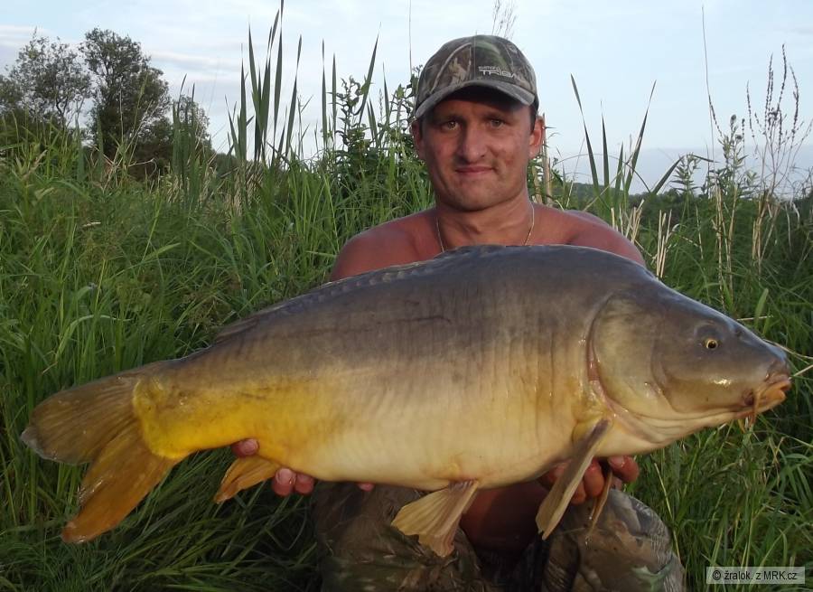 80cm-10,30kg