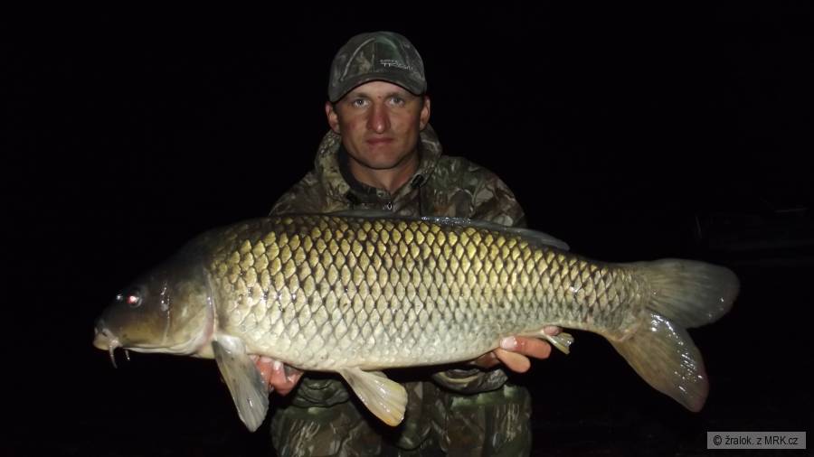76cm-7,40kg