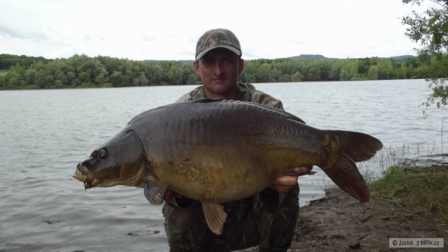 77cm-10,50kg