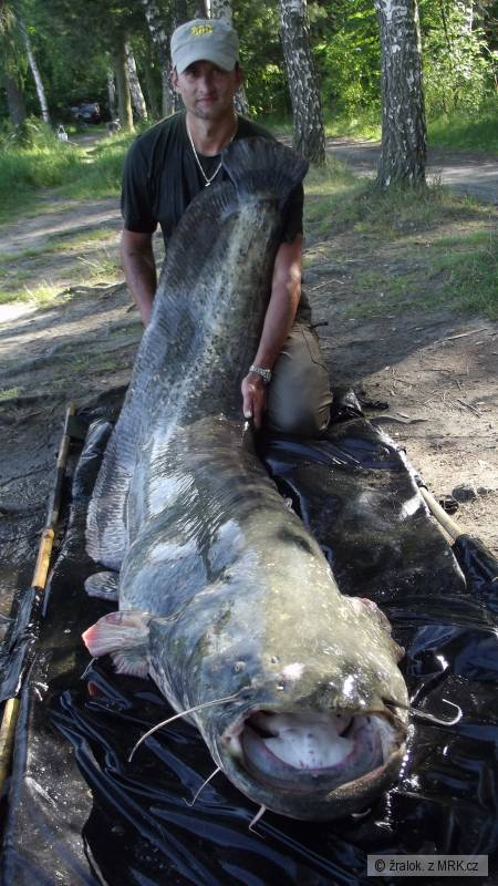 �R svazov� voda 234cm-84kg