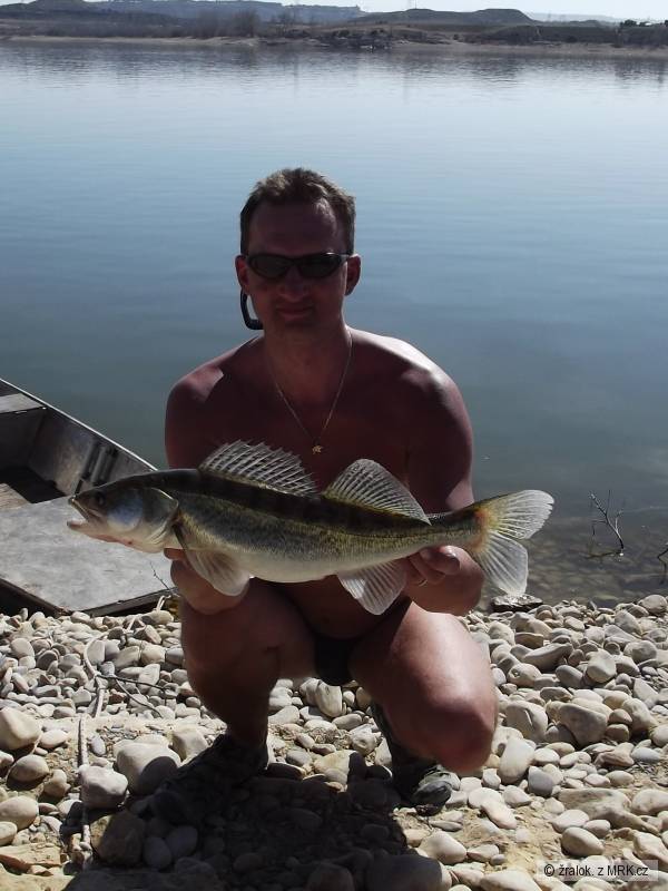 Ebro 70cm