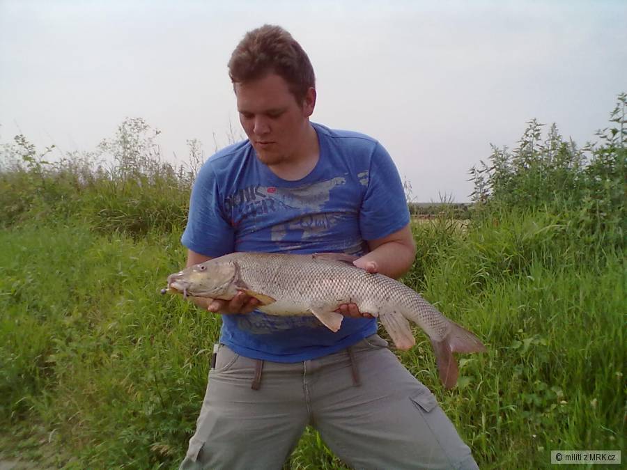 Parma na vláčku