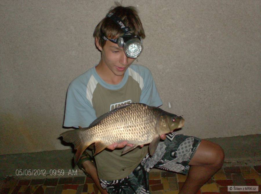 Kapřik 44 cm