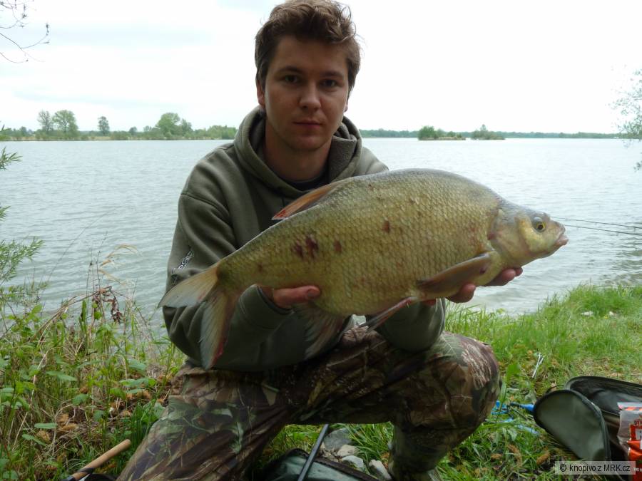 CEJNEK