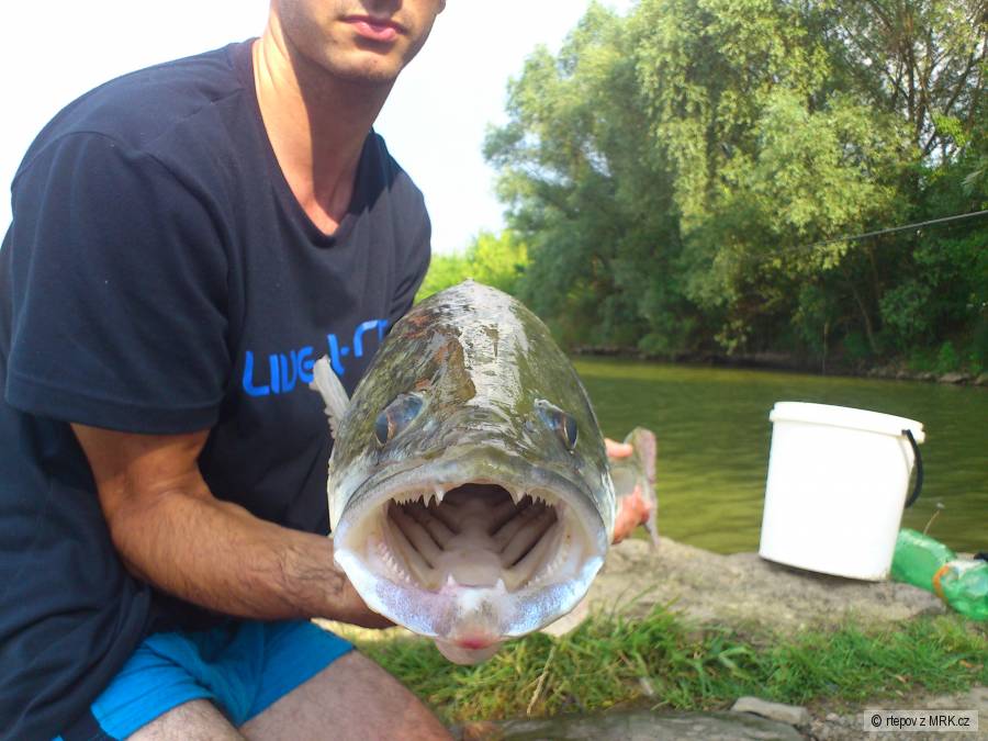 Trofejáák :)