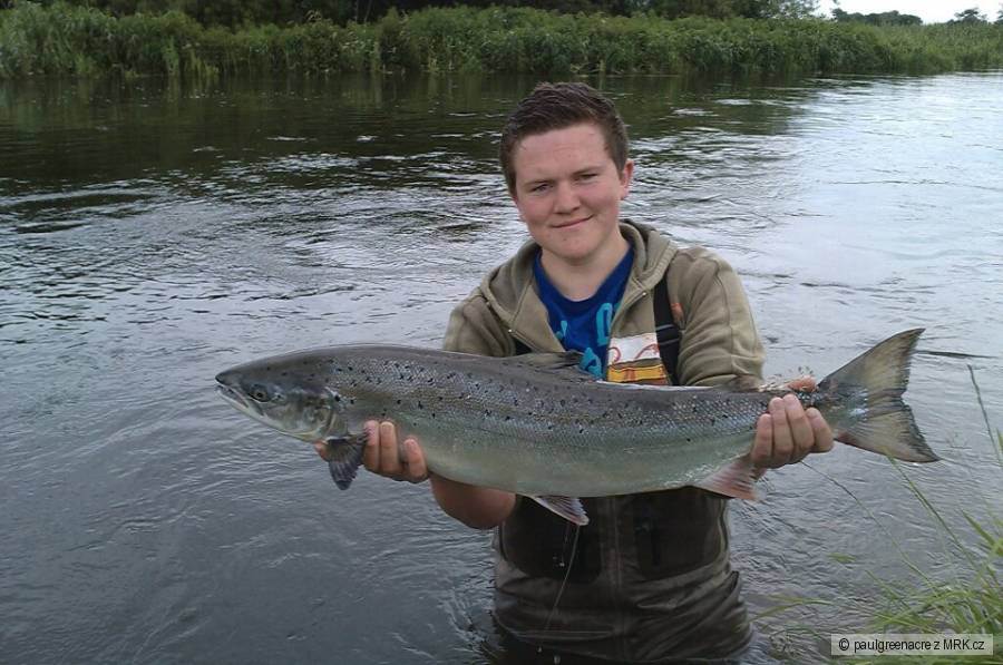 Jared's Atlantic salmon