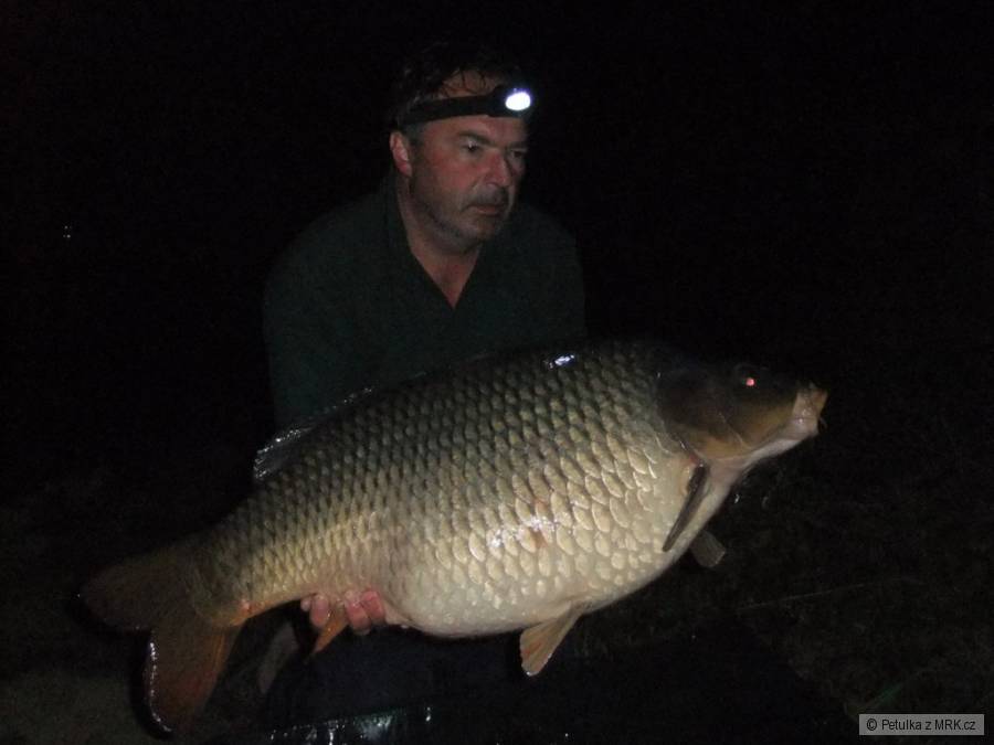 Labe 19.10 kg