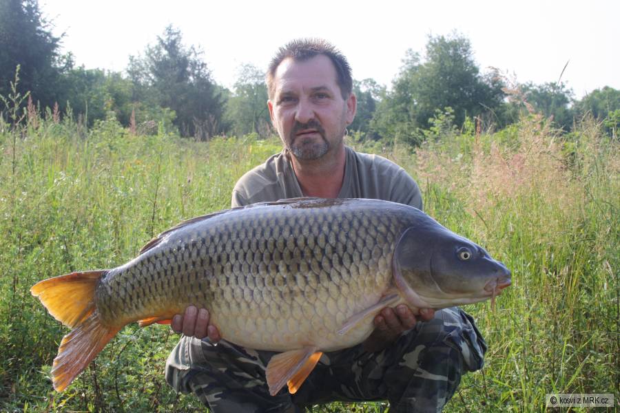 Kapr 88 cm a 13 kg