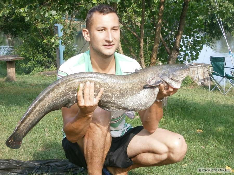 Moje první "velká" ryba