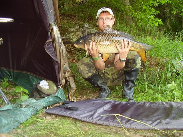 62cm 7kg