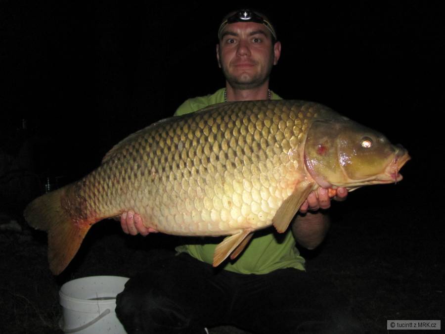 11kg