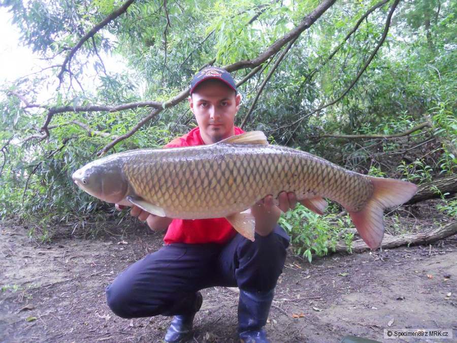 Amur 80cm 8kg