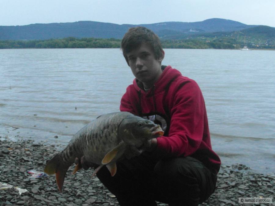Kapor riadkač :) 10,5kg