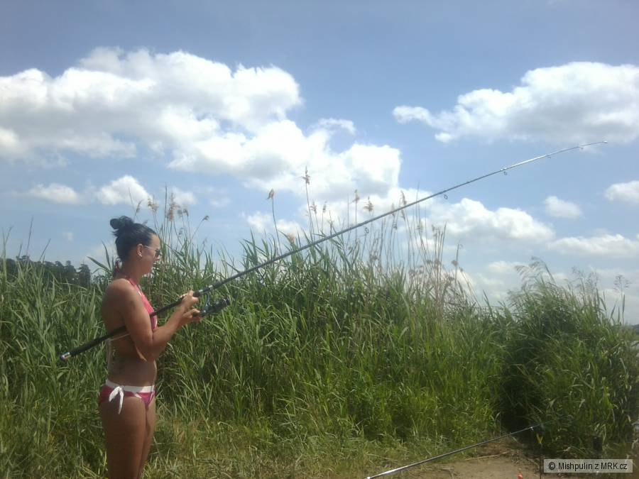 Lovkyne