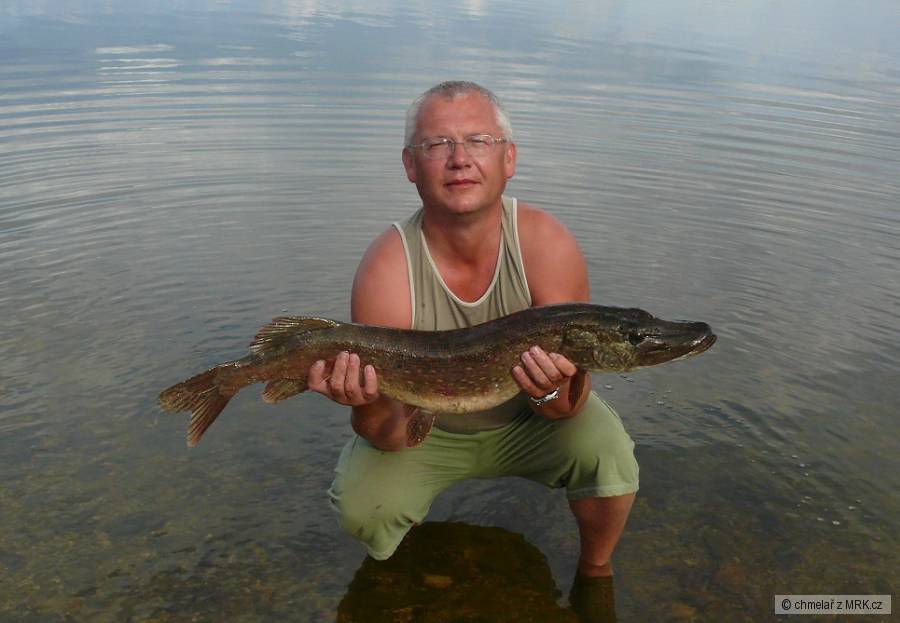 Dravci 2012