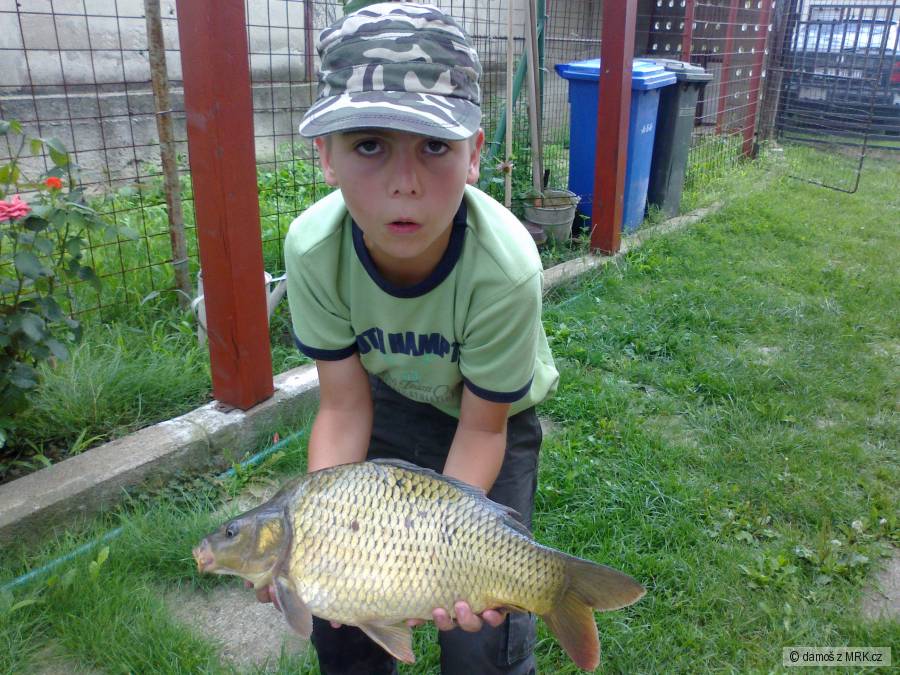 kapor 50,5 cm na feeder