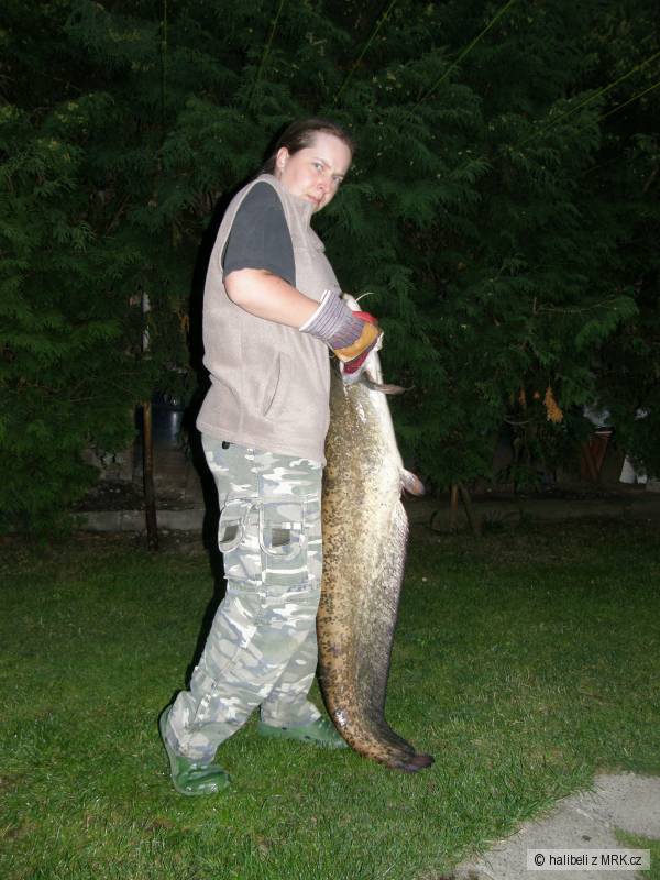 Rovinka �ervenec 2012