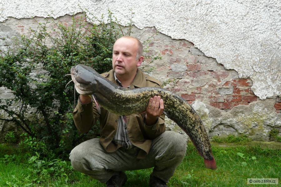 sumec 104cm