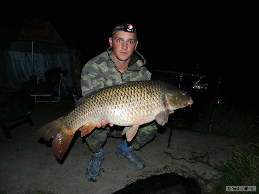 Kapr 81cm, 8,3kg