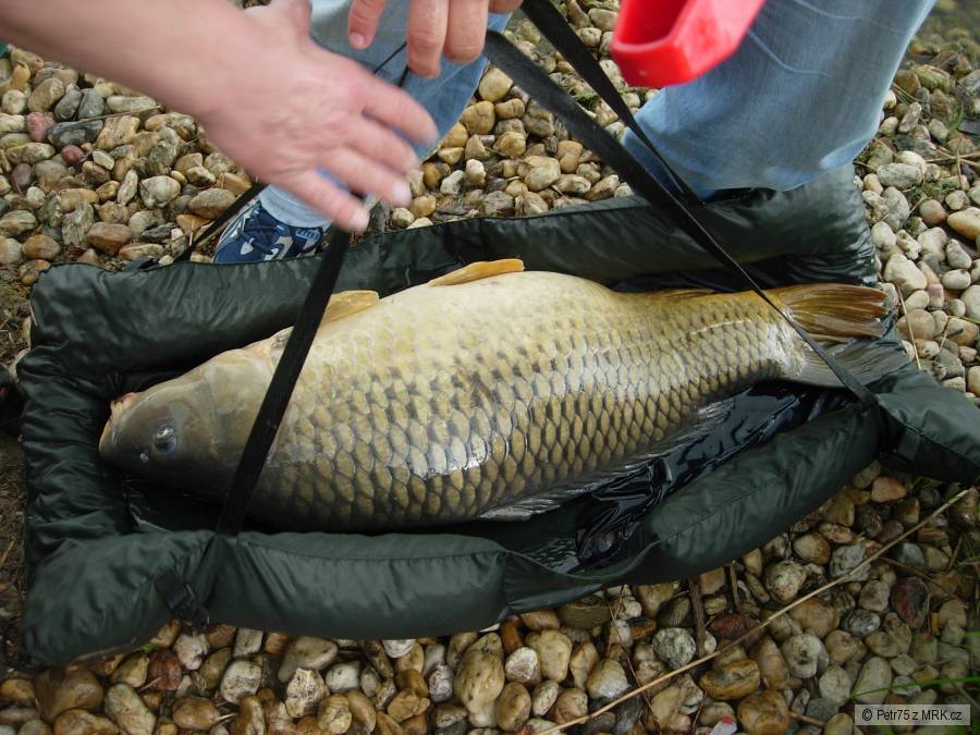 97 cm - 20,5kg
