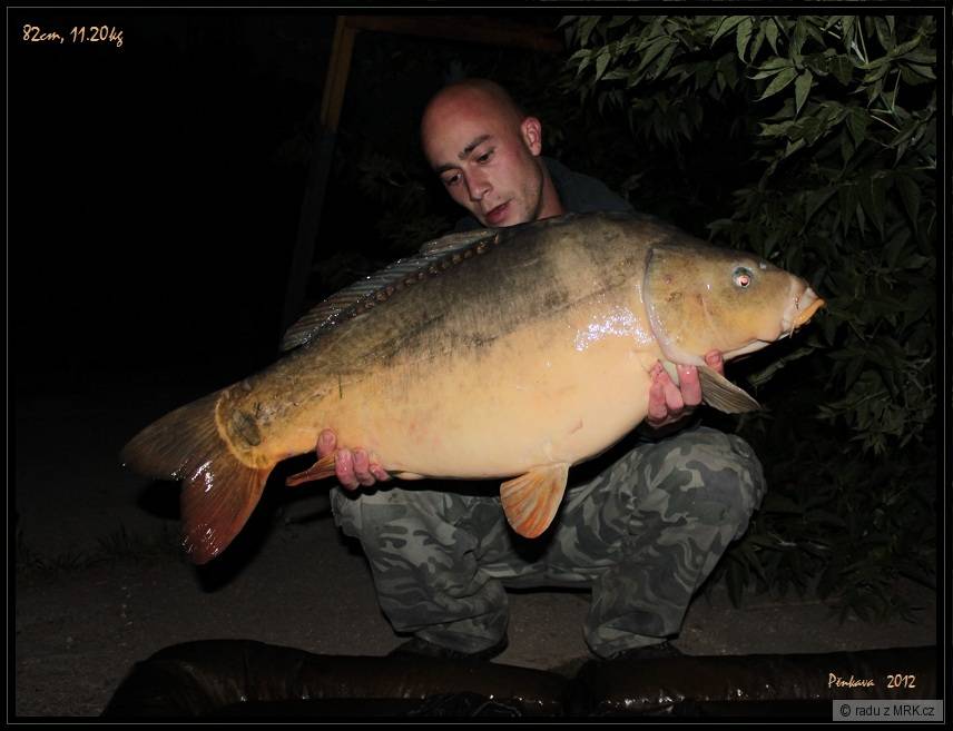 11.20.ly. lkbaits