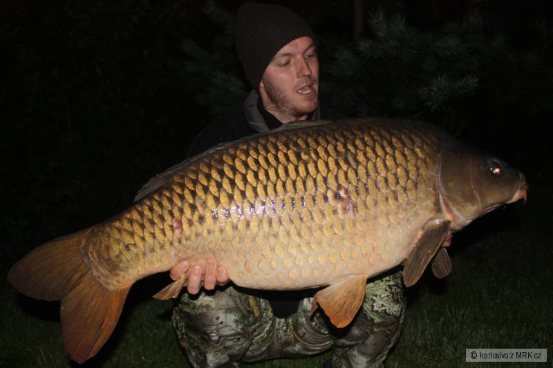 21kg