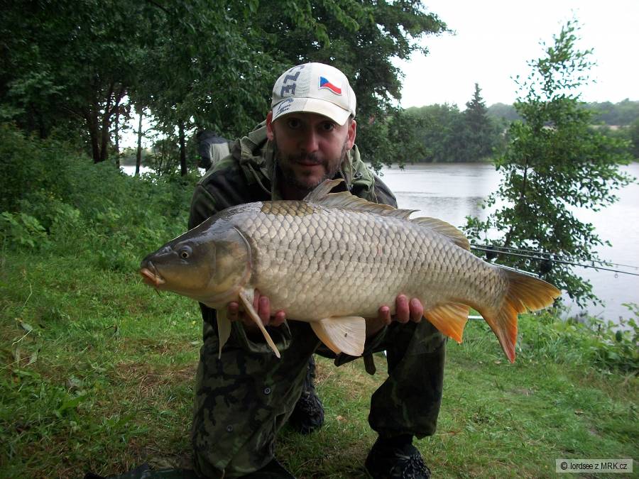 Kapr 88cm - 14kg