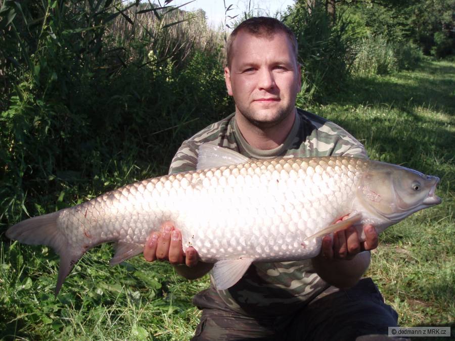 Amur 10,2 kg - plavana