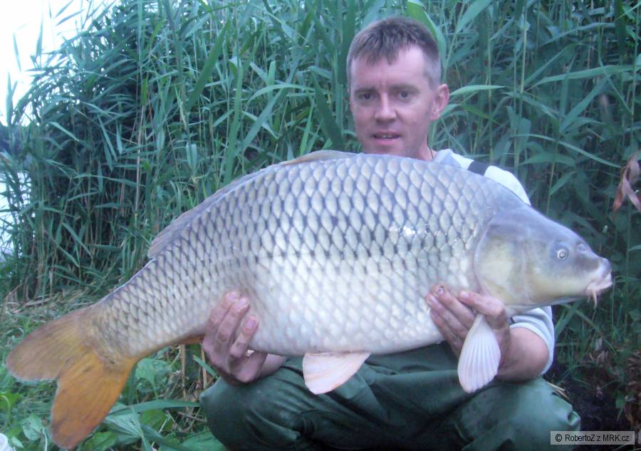 84cm , 13kg