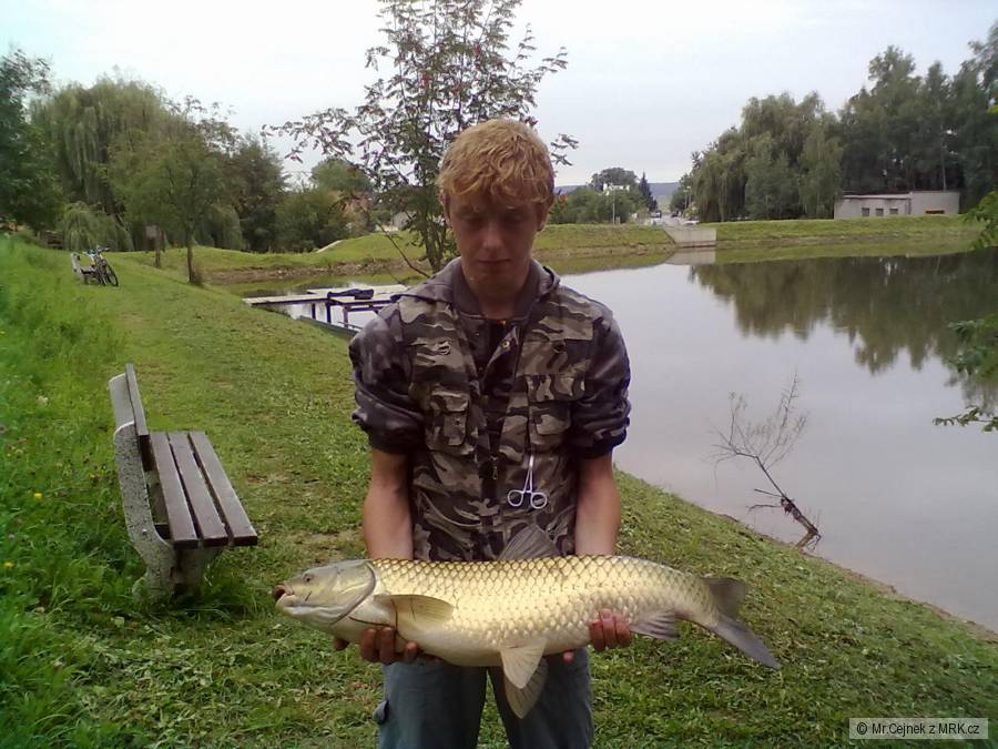 Amur 90cm