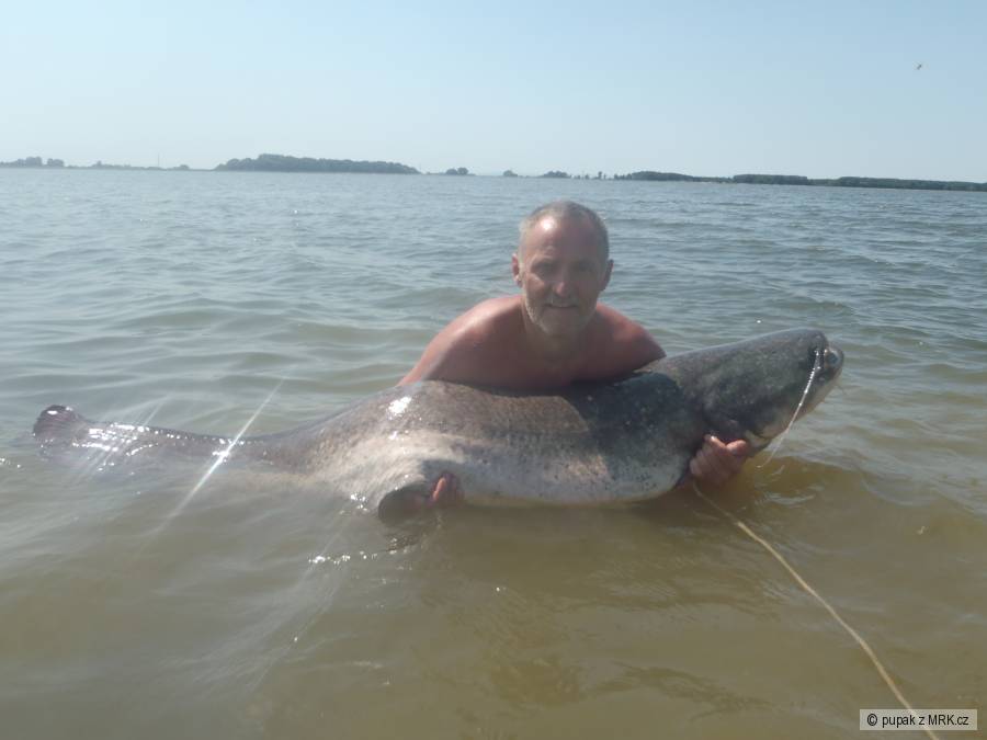 sumec 187 cm