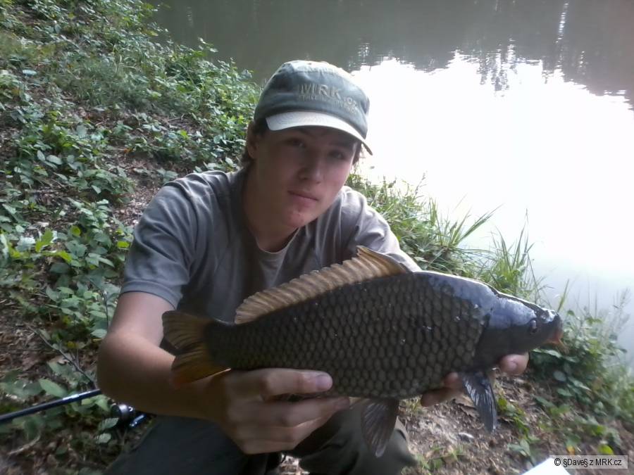 Karp