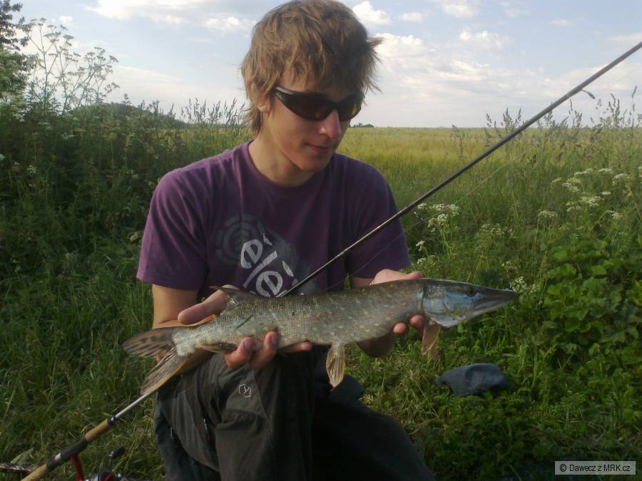 Začátek sezóny 2012 - štika 55cm