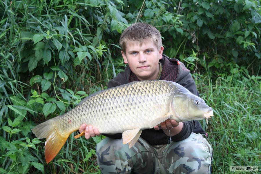 Kapr 77 cm a 7,10 kg