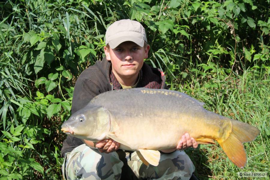 Kapr 78 cm a 10 kg