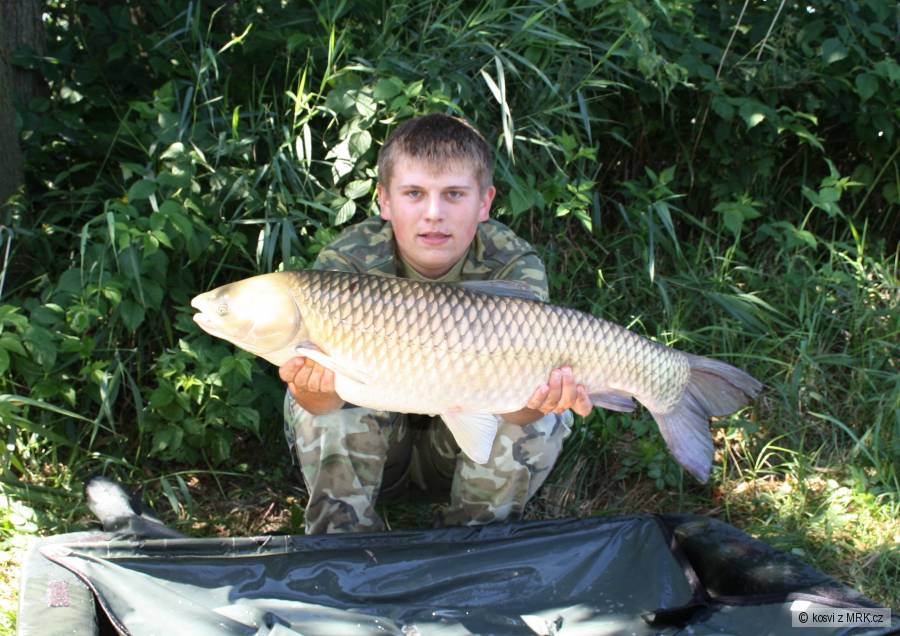 Amur 81 cm a 8,25 kg