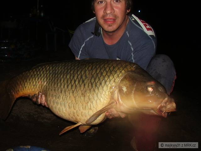 Kapor