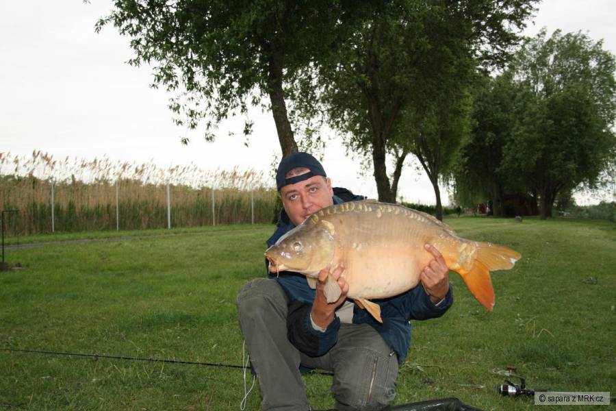 Kapr 15,5kg