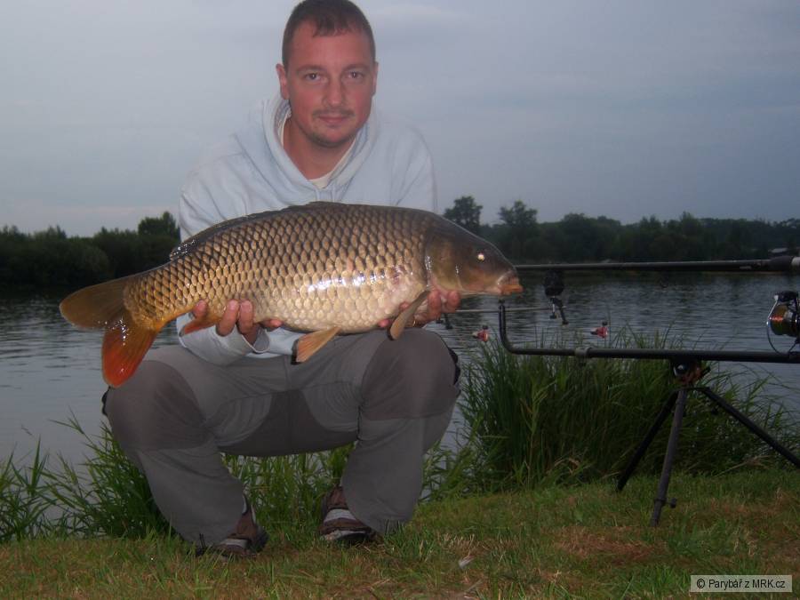 Labáček