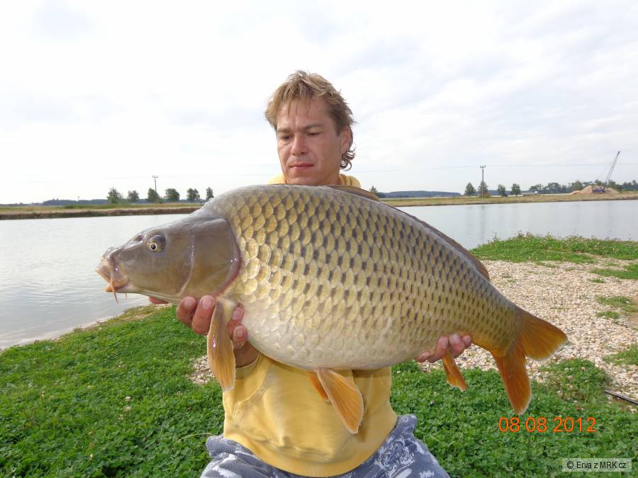 Kapři od břehu