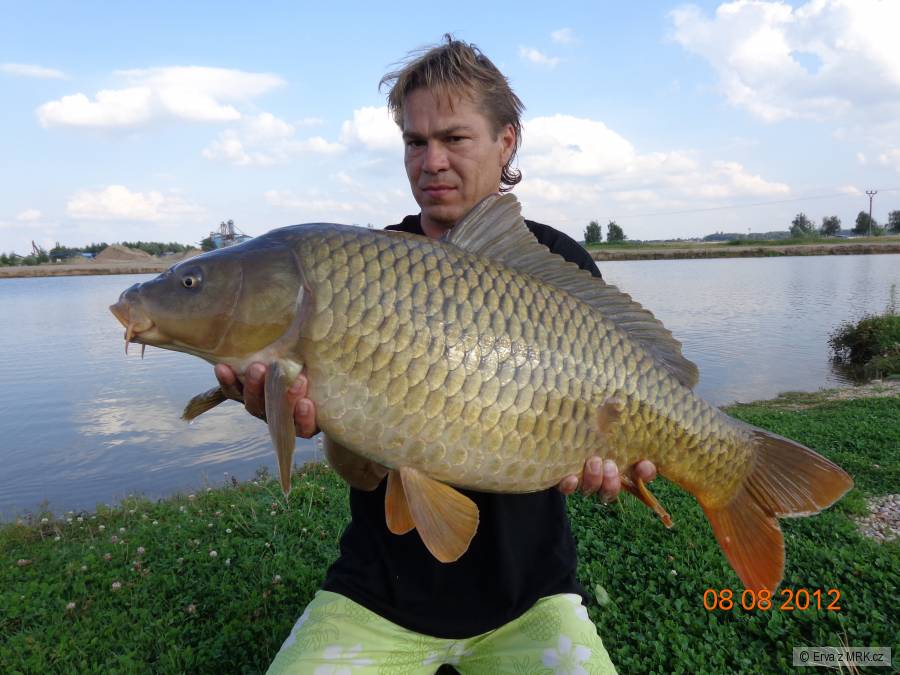 Kapři od břehu