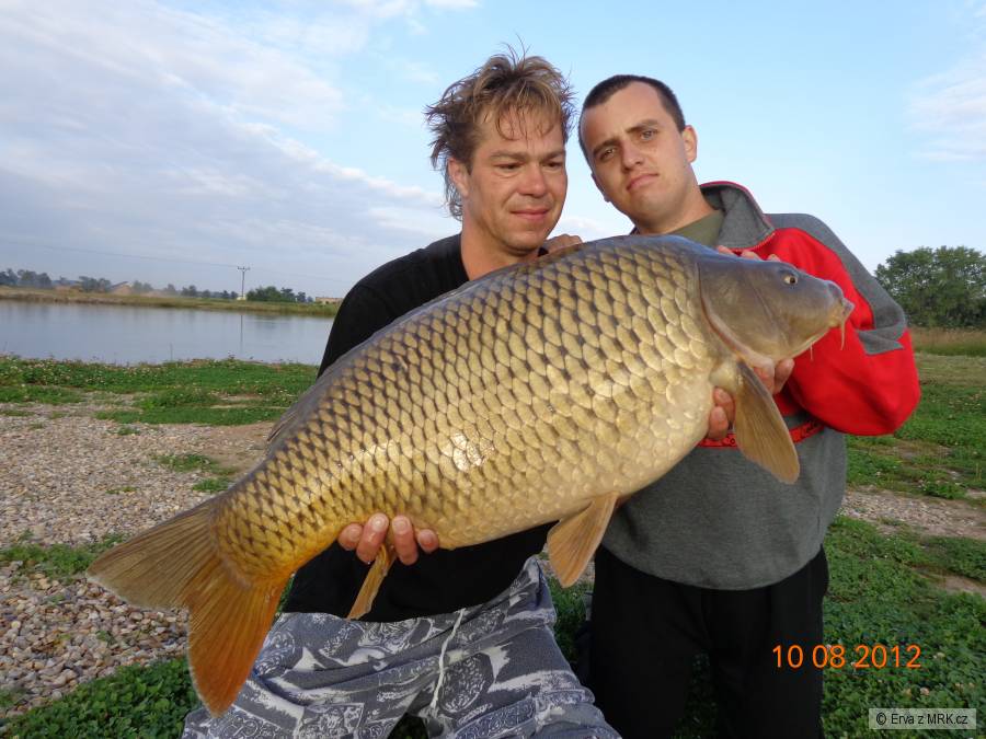 Kapři od břehu
