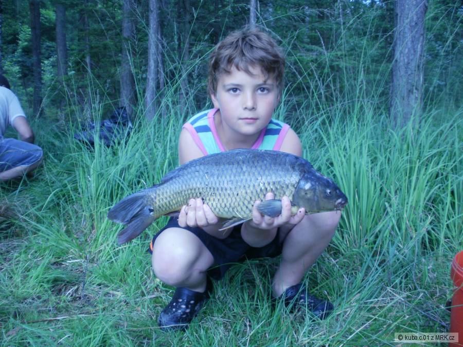 Kapřík 51cm