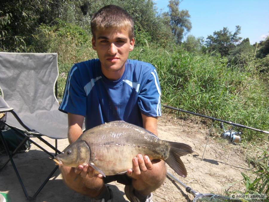 kapor 48cm
