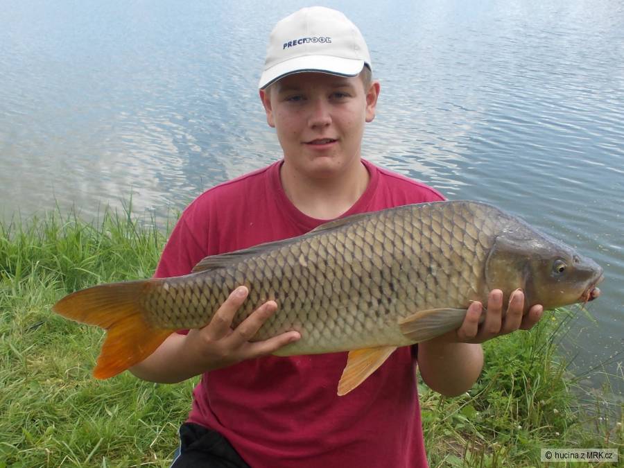 kapr 79cm ze štilce