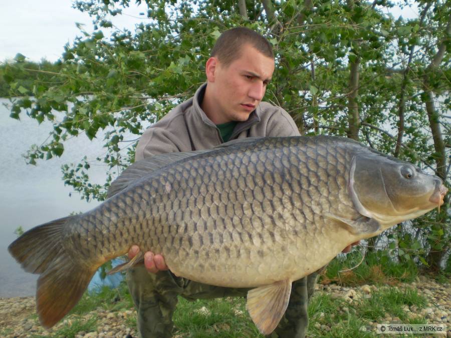 15kg