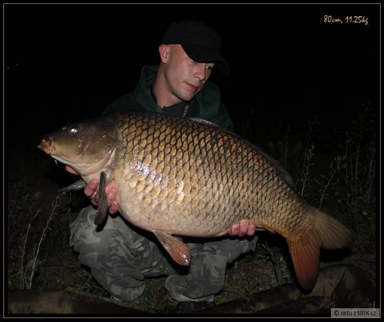 11.25kg