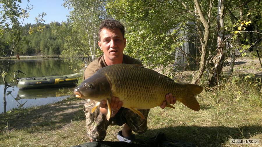 Kapr 71cm, 9,2kg