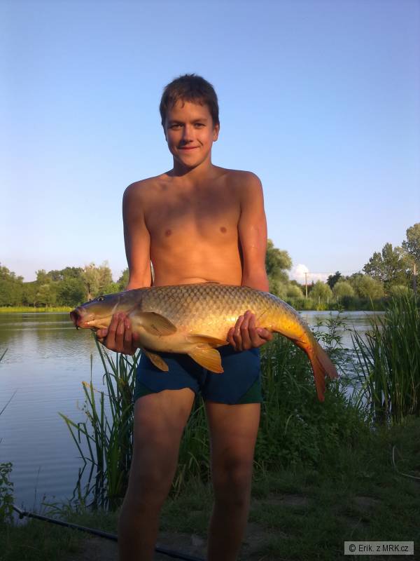 Kapr 84 cm 13 kg