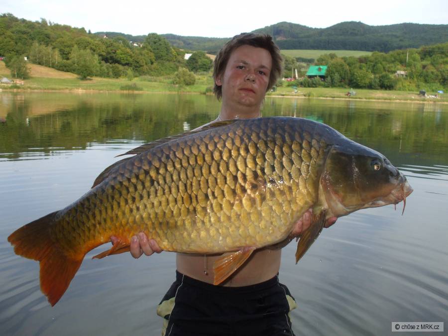 99cm 21kg